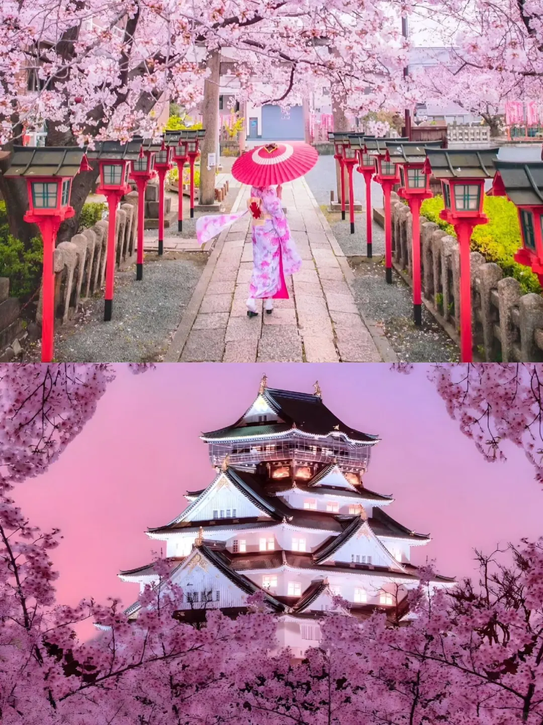 Japan | The Itinerary Everyone's Asking About! 6 Days Exploring Kansai