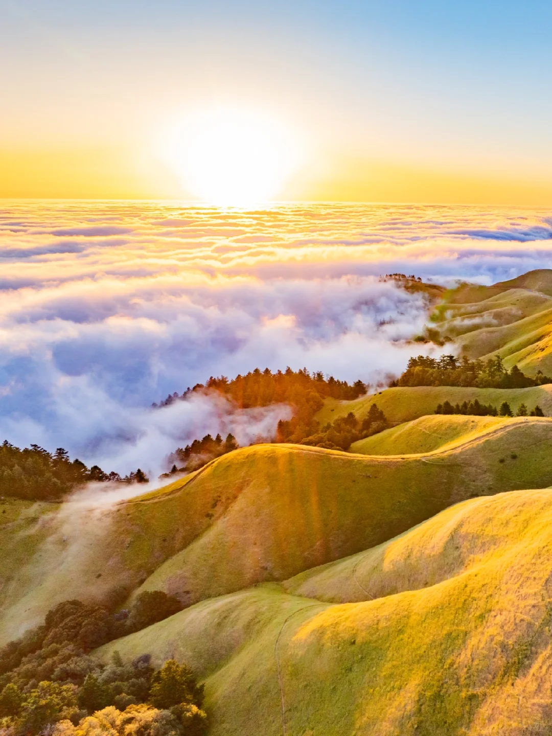 2024 Bay Area Cloud Sea Season: How I Chose the Perfect Photo Spots