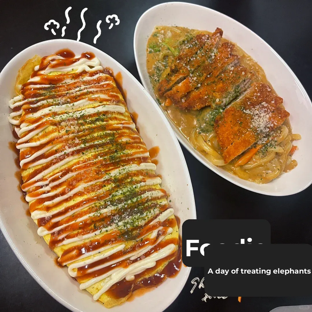 Seattle's Japanese Delicacies 🍱 Curry Cream Udon/Omuraisu Noodles Are Absolutely Delicious!