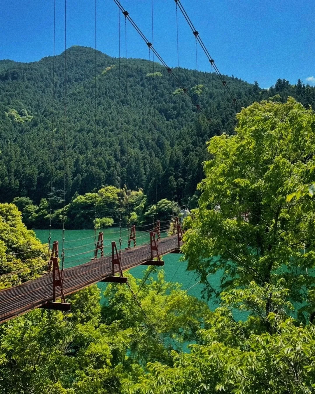 Thought Osaka was stunning, but then I visited Wakayama