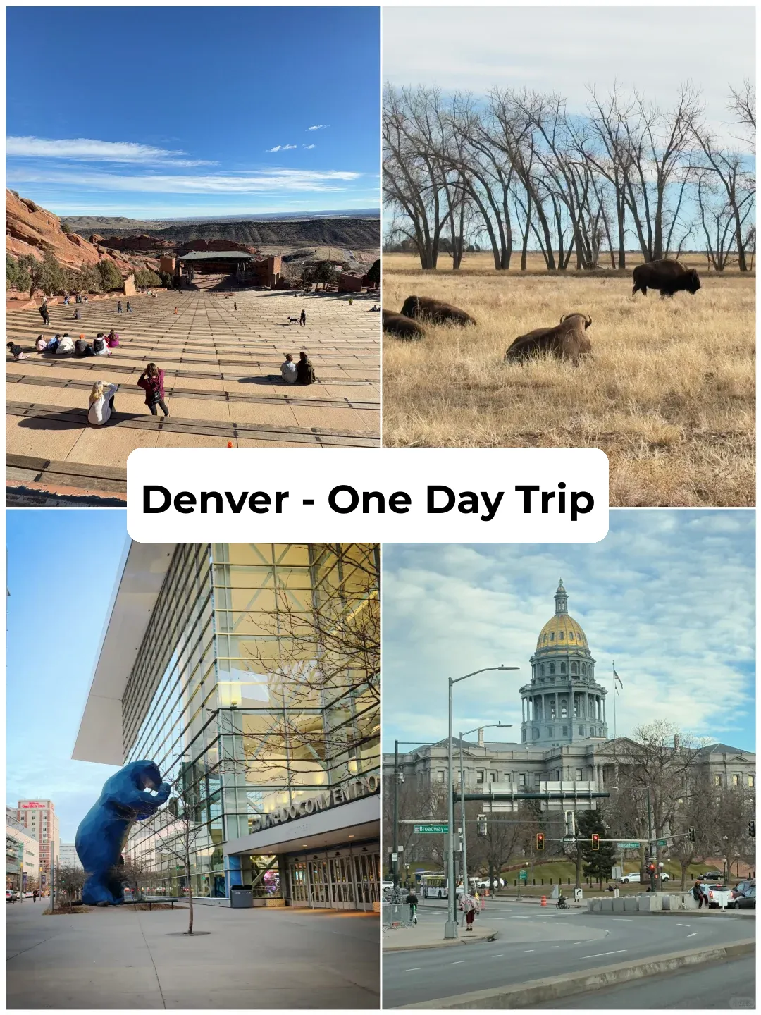 🇺🇸 Colorado Road Trip | A Day in Denver