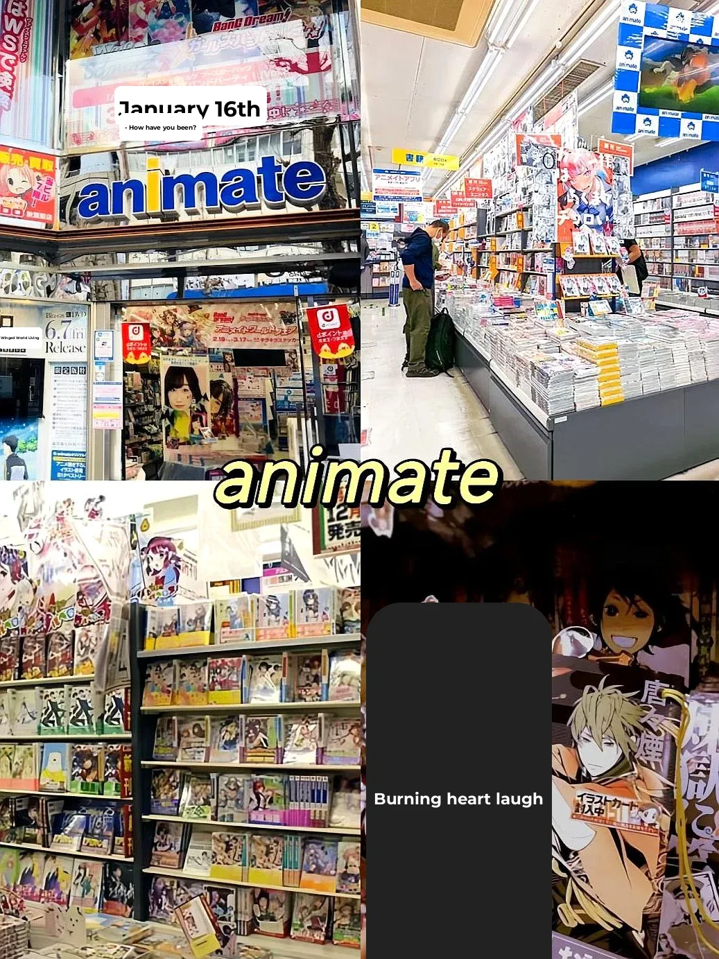 Tokyo Gacha Hunting Guide: Top 8 Must-Visit Spots! 🎉