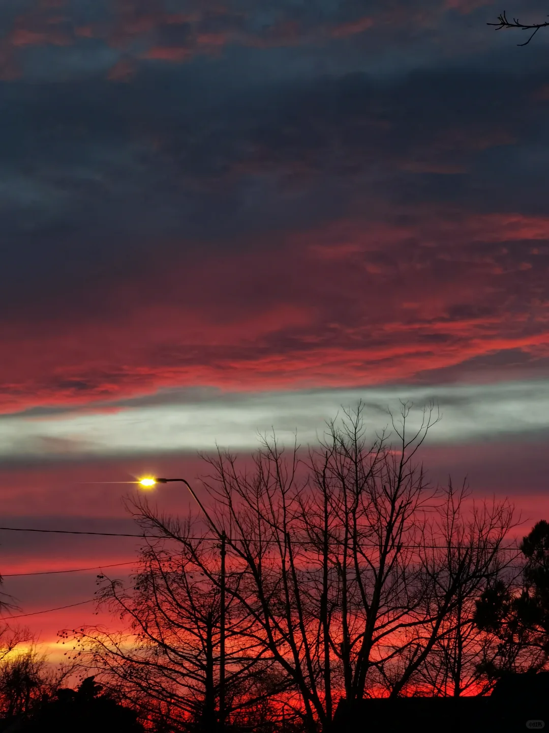 "Feb 14–16: Travel Buddy Wanted for Albuquerque"