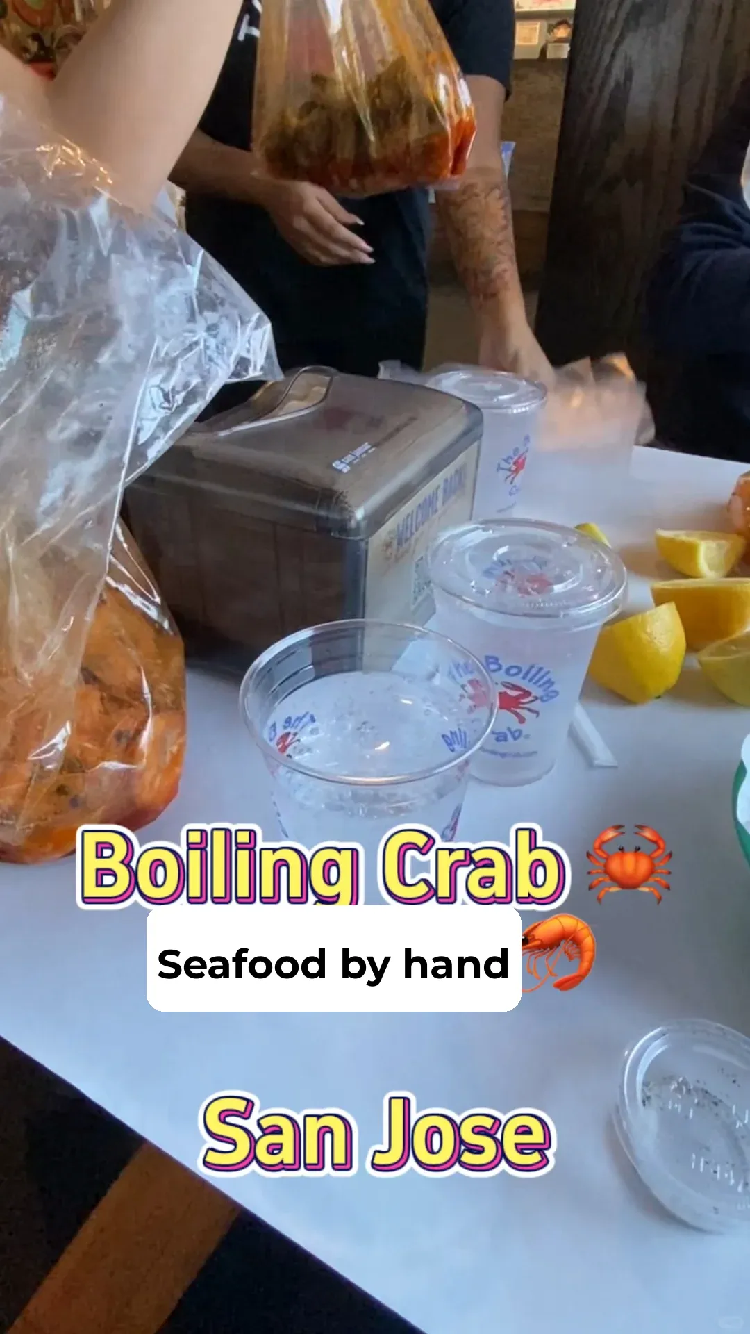Bay Area Foodie Guide: The Classic Hands-On Seafood Feast at Boiling Crab