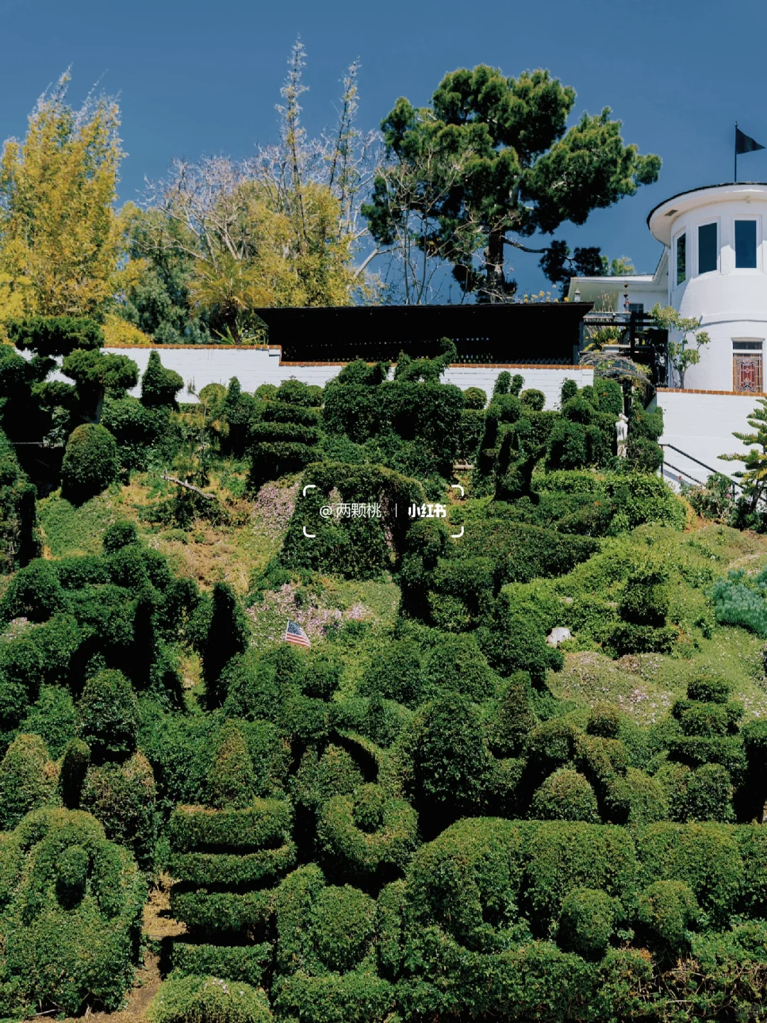 SD | Hidden Gems of San Diego: Suspension Bridge, Meditation Garden & Arboretum