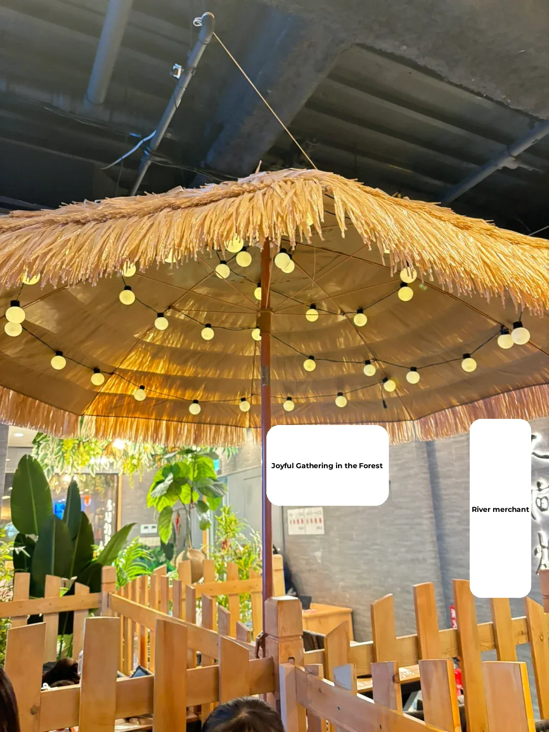 📍Ikebukuro | The Most Atmospheric Grilled Fish Joint