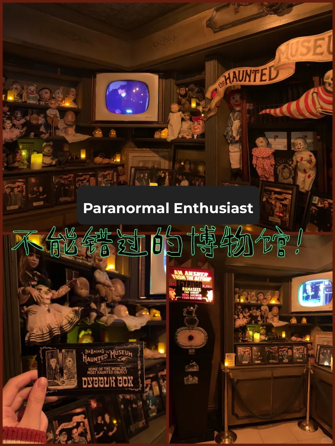 Las Vegas | Museum Collection: A Truly Cursed Exhibition⁉️