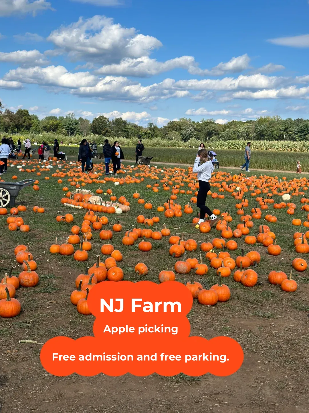 NJ Farm Fall Harvest Festival: Apple Picking, Pumpkin Picking