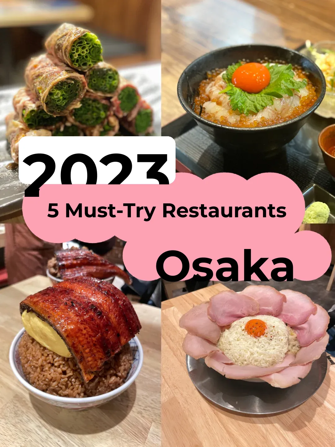 2023 Osaka, Japan: 5 Must-Try Restaurants 🌸