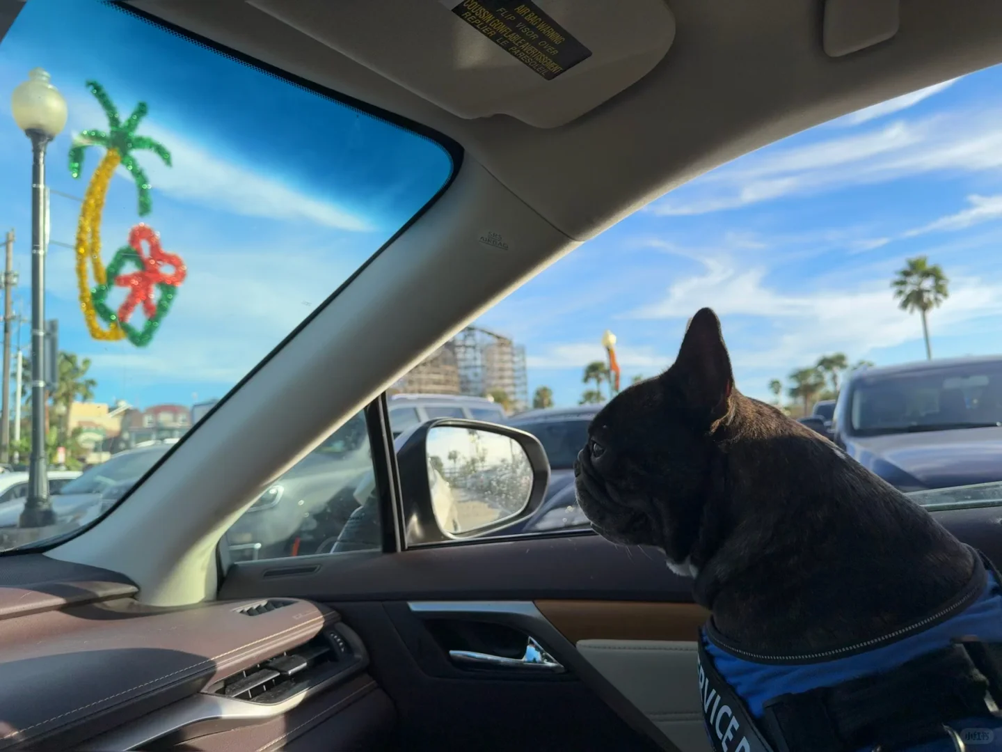 More Free Attractions Along Galveston's Shore in Houston