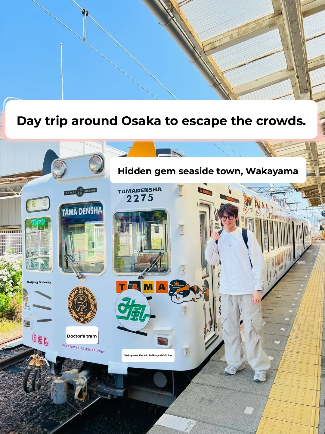 Osaka Vicinity | This Town Beats Osaka and Kobe Hands Down