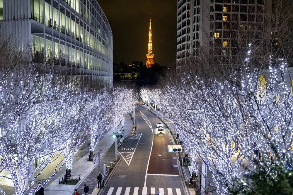 Tokyo Roppongi Christmas Lights: Nov 7 - Dec 25