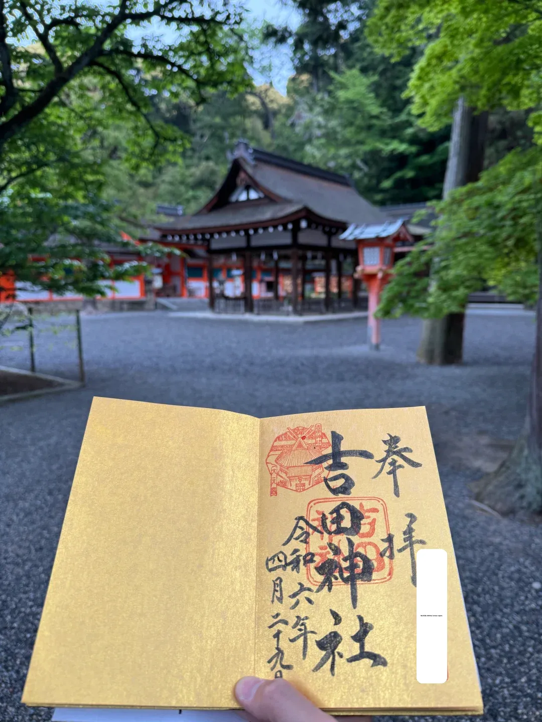 🇯🇵 Kyoto, Japan | Exploring the Ancient Capital Has Reached the Next Level