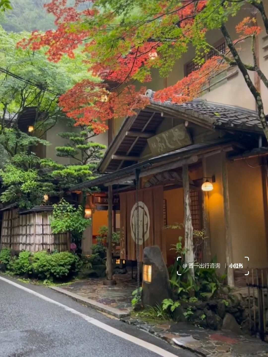 Kyoto Update!! Hotel Prices Plummet to Unbelievable Lows! 😭😭