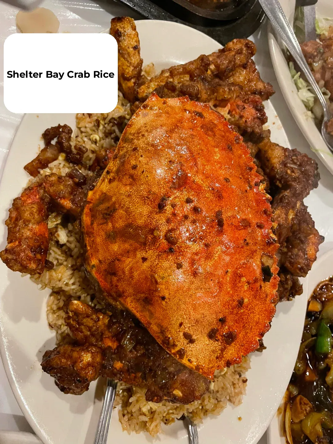 Dallas Chinese Food | How Did I Just Discover This Amazingly Delicious Restaurant? 🤩