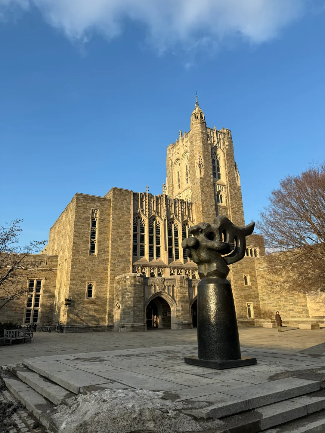 Must-Try Eats in Princeton! The Charming "Prince Town"