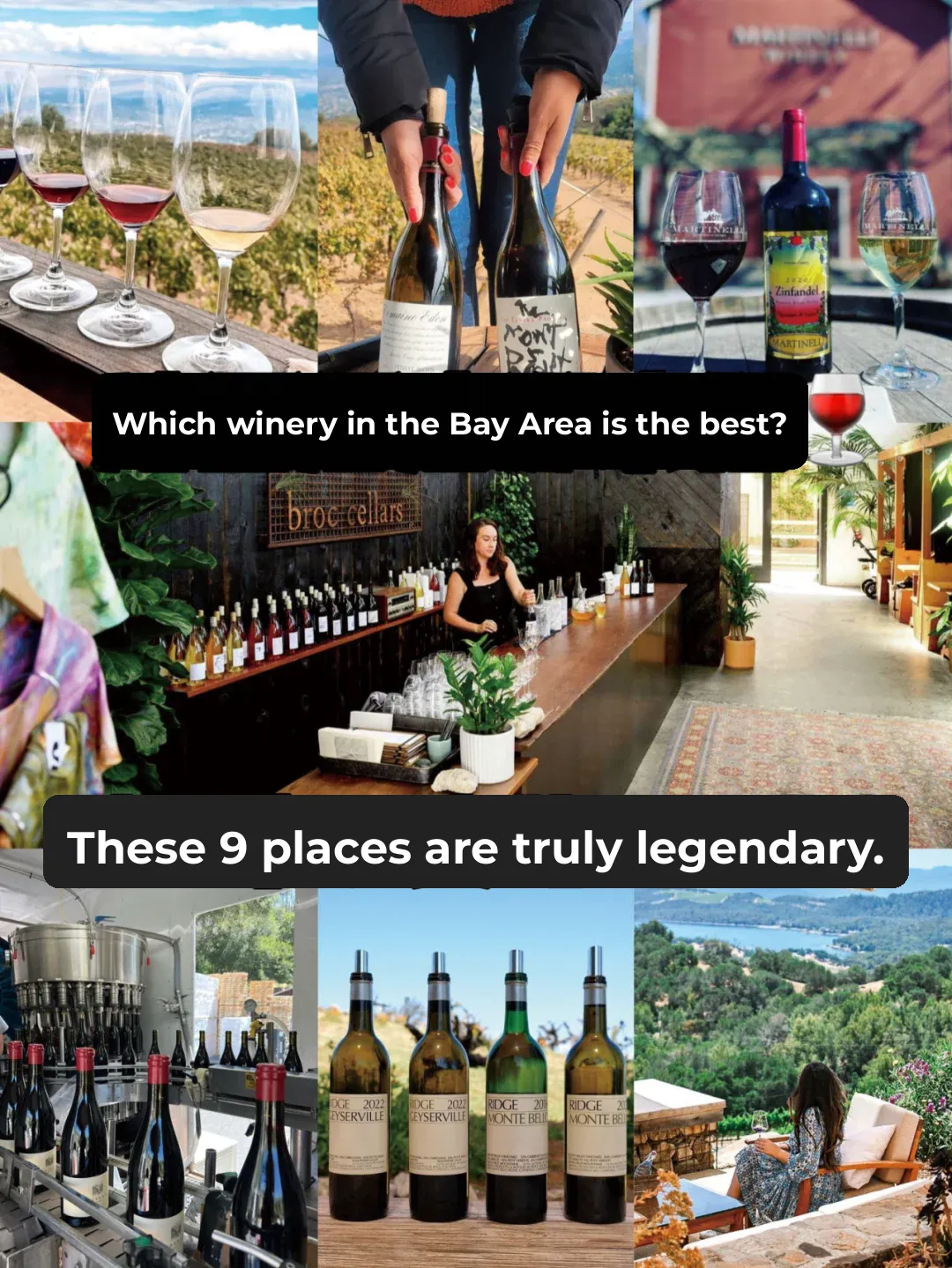 San Francisco Times Recommendation: 9 Must-Visit Best Wineries in the Bay Area 🍷