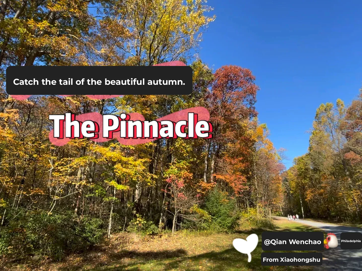 Hidden Gem Hiking Trail in Pennsylvania: Autumn Splendor at The Pinnacle 🍁