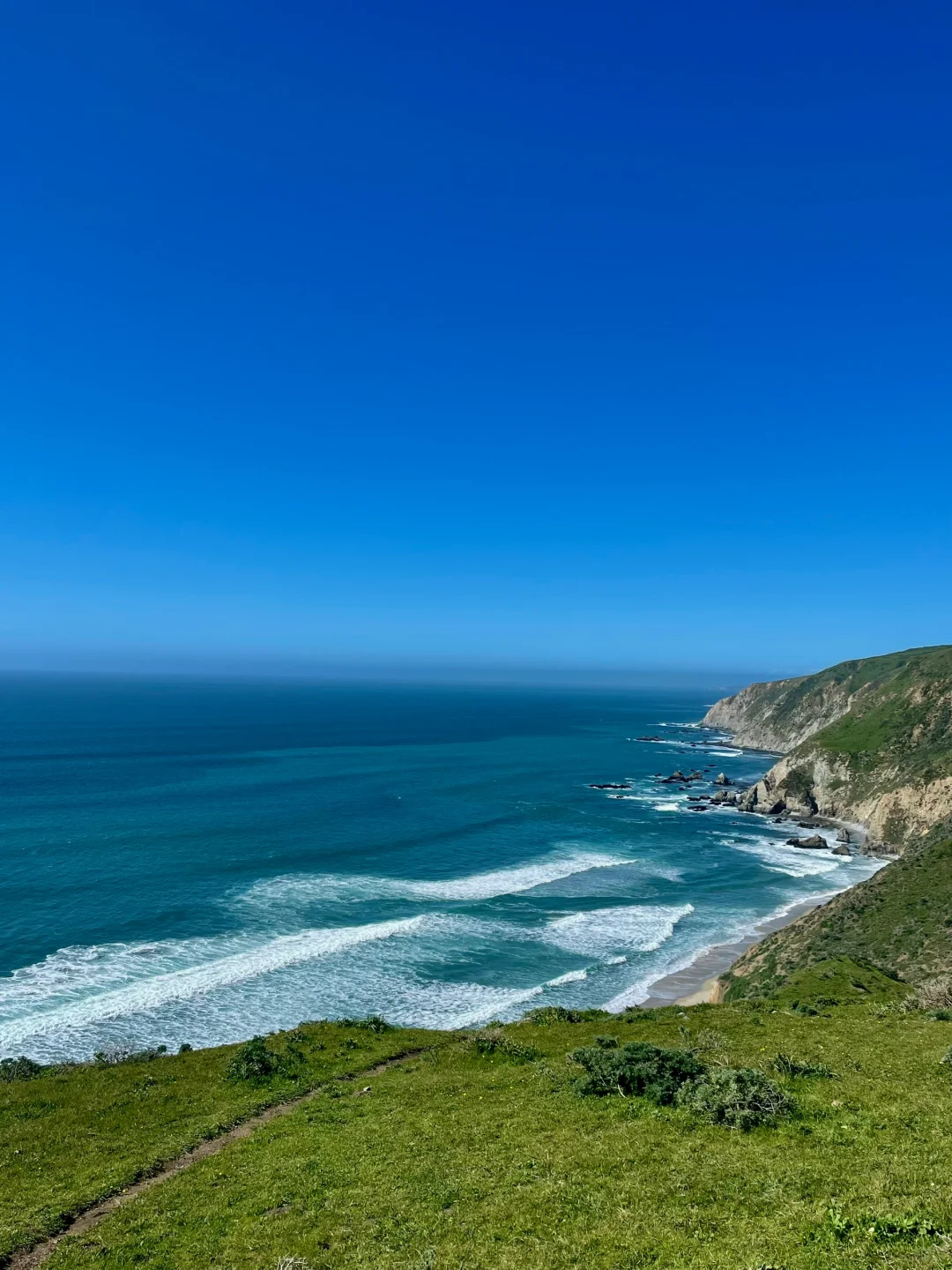 When the Sea Turns Blue, Deer Appear | The Most Healing Coastal Hiking Trail in the Bay Area