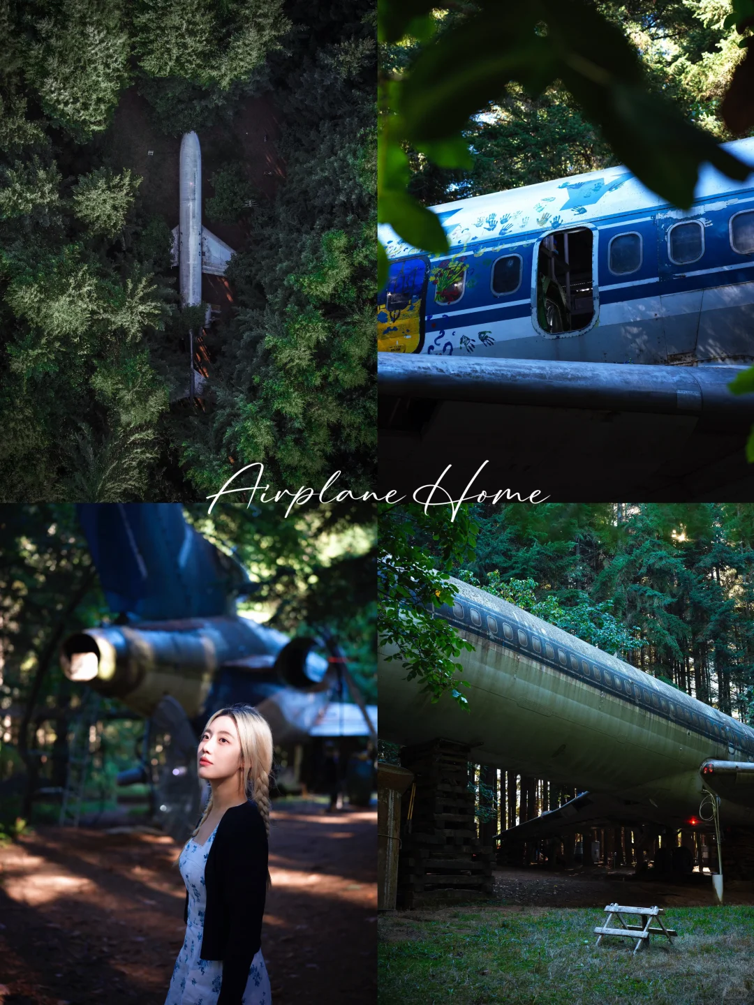 Oregon ✈️ Portland’s Hidden Treehouse-Style Plane Home in the Forest 🌳