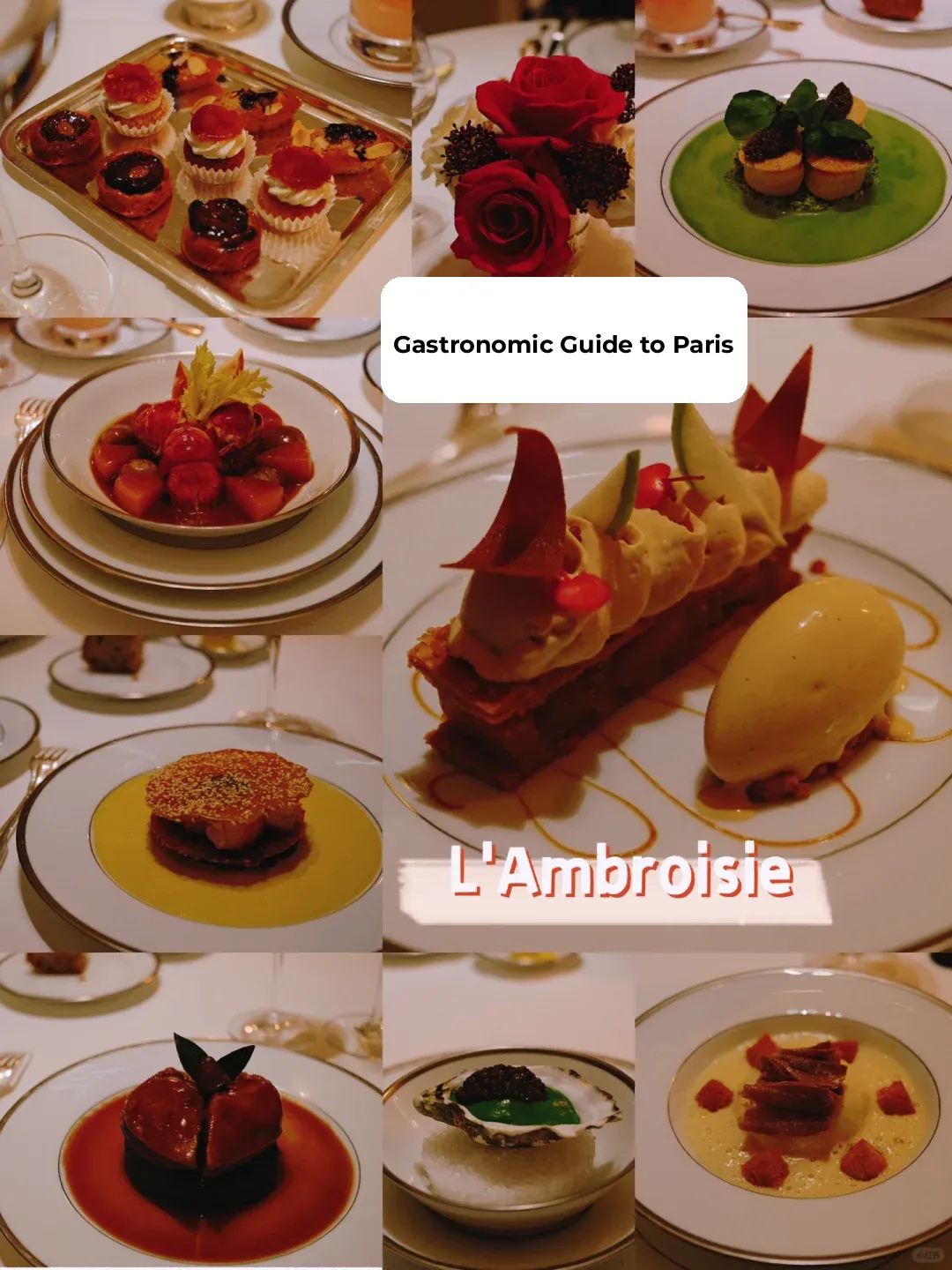 Dining in Paris 🇫🇷 8 Must-Try Parisian Hotspots: Honest Reviews