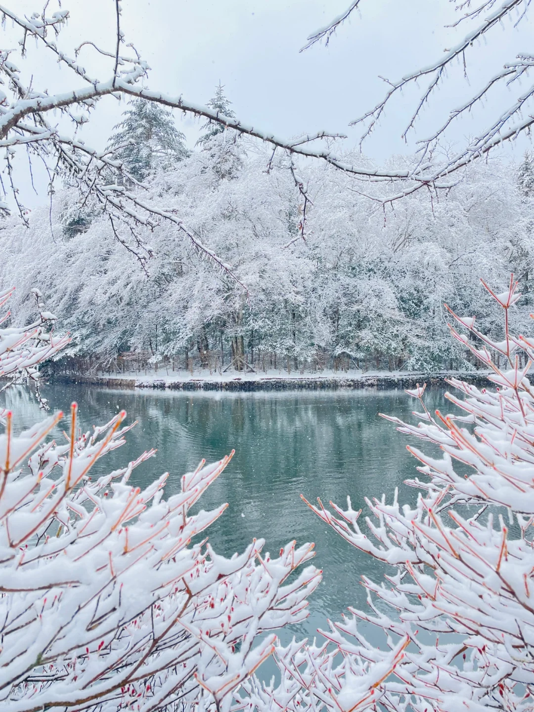 Live｜Finally Understanding the True Essence of Visiting Karuizawa in Winter