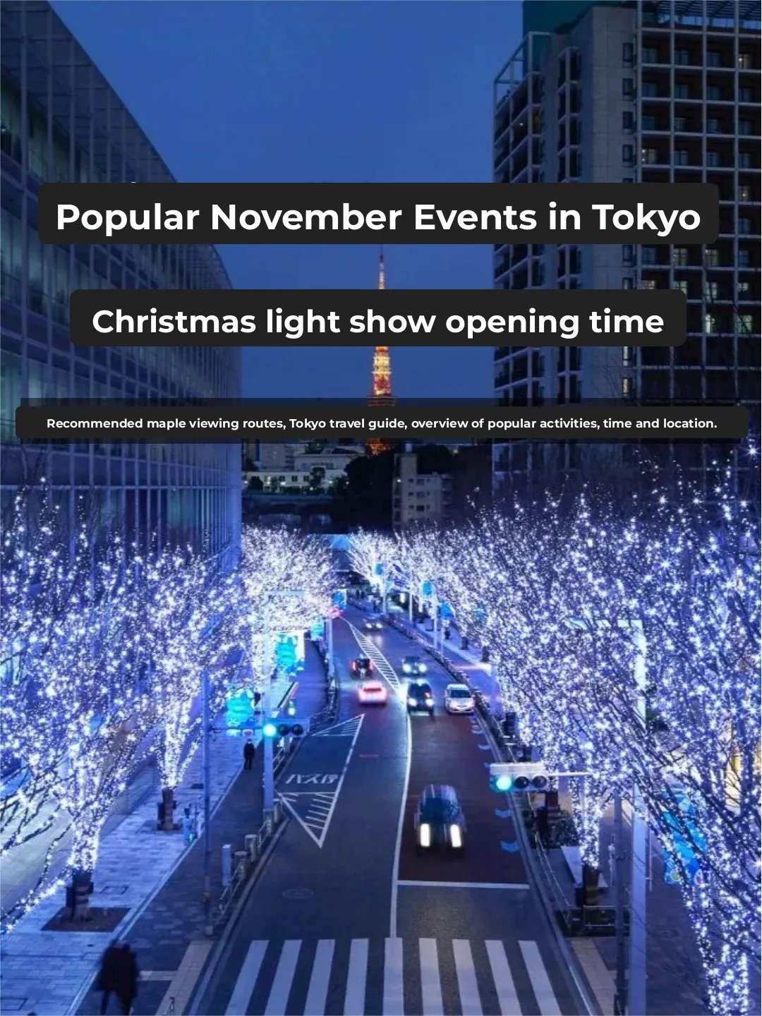 Top November Festivals and Events in Tokyo | Christmas Light Displays