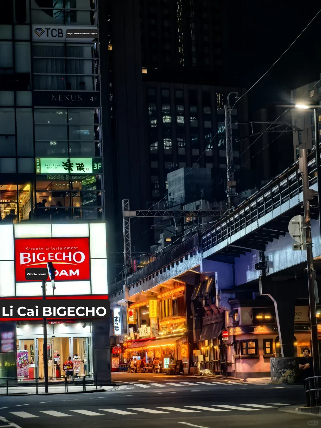 Tokyo's Nightlife: Hidden Gems Beneath the Rails