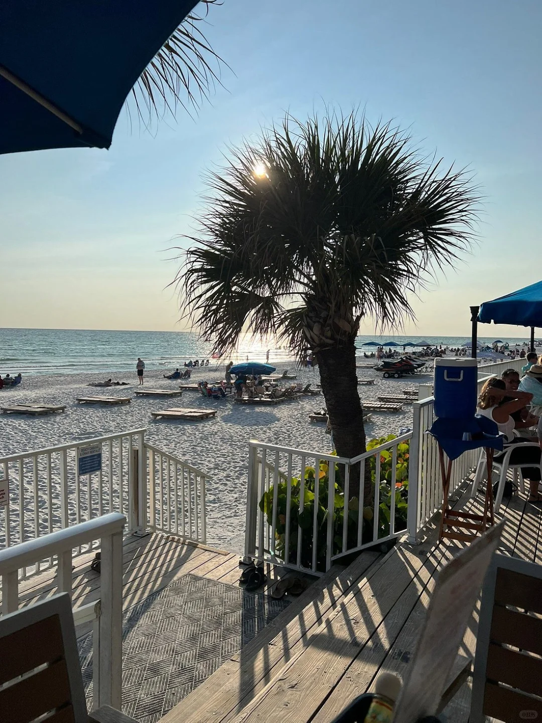 Tampa! The Beach Resort I Only Want to Bring My Best Friends To 🏄‍♂️