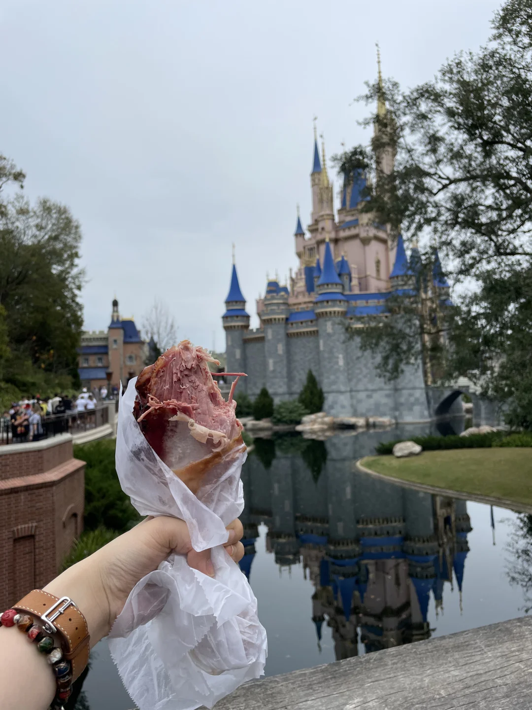 Orlando Disney Delicacies