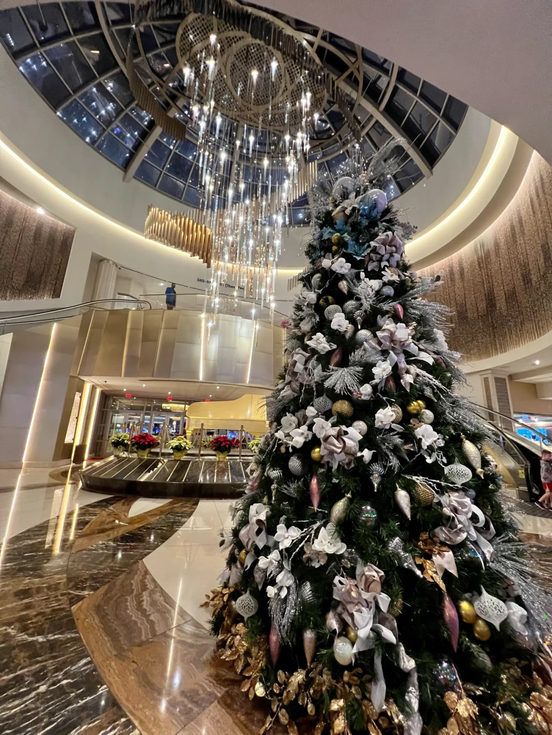 Tampa, FL 🍽 Jubao Palace Noodle Bar