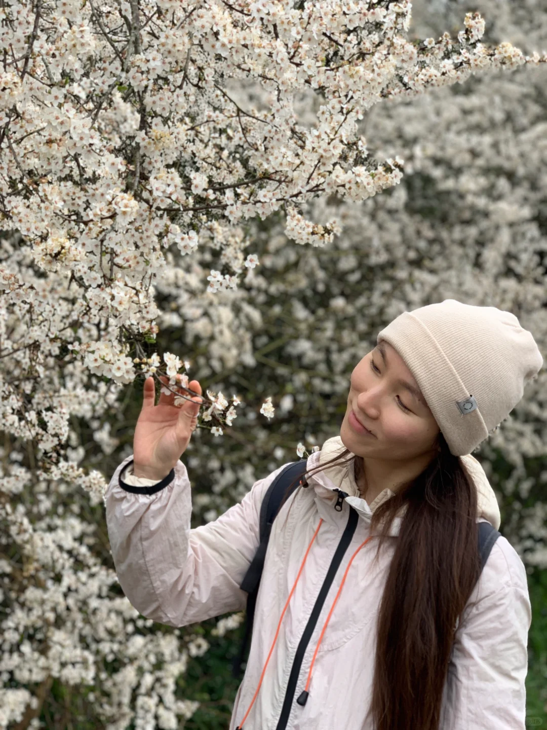 Spring's Synonym is Departure | Hiking in Greater Paris to See Deer
