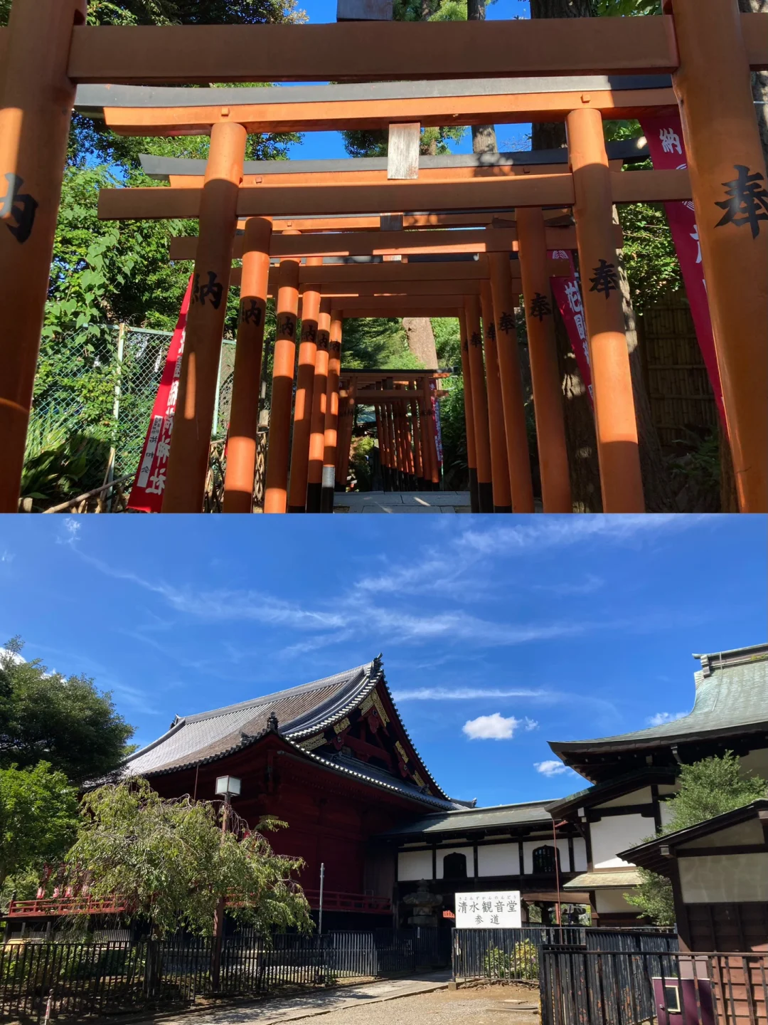 Crushed It in Tokyo: Ueno Park Understood!