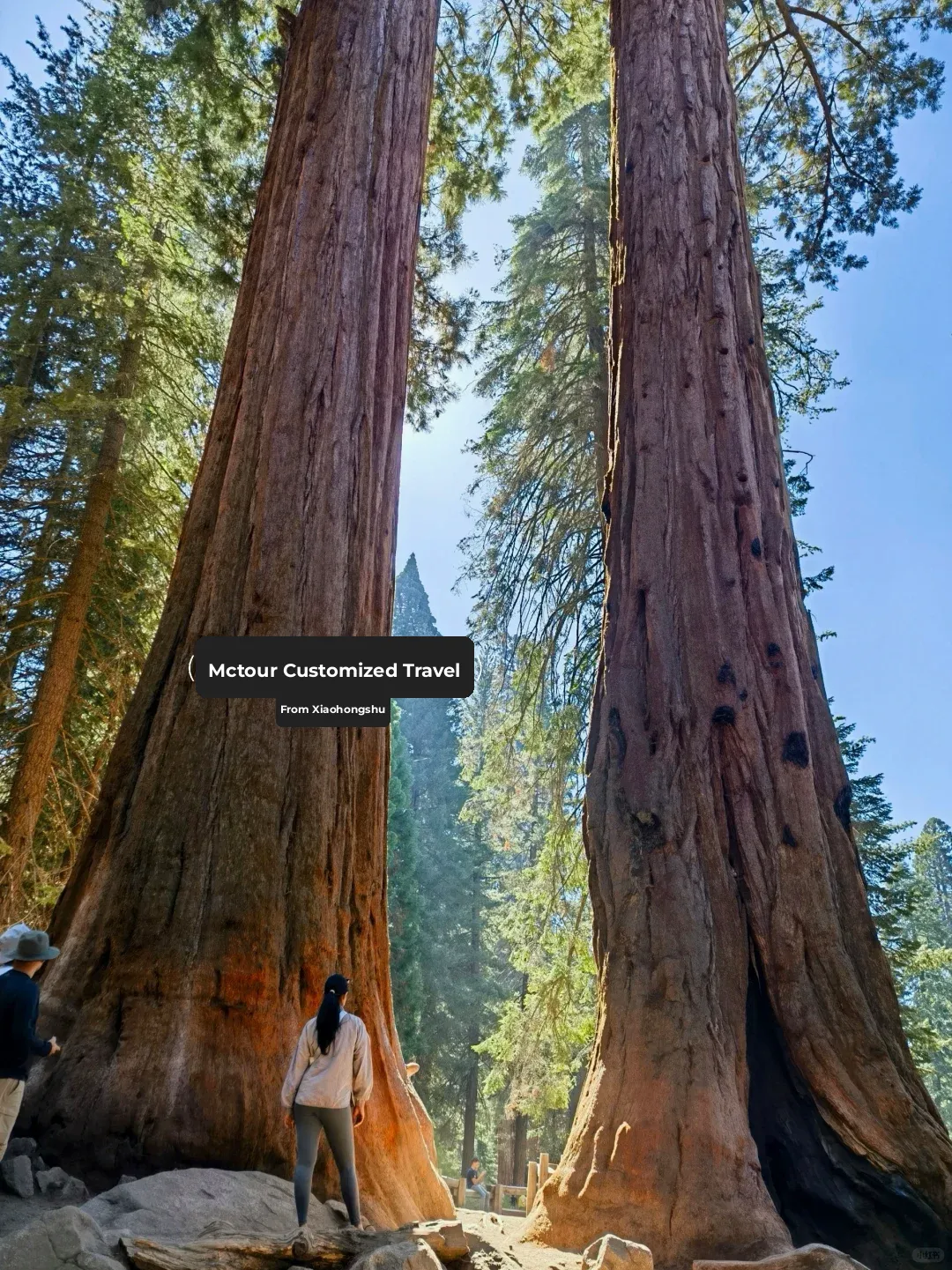 6-Day Classic Western USA Loop Tour from Los Angeles ♻️