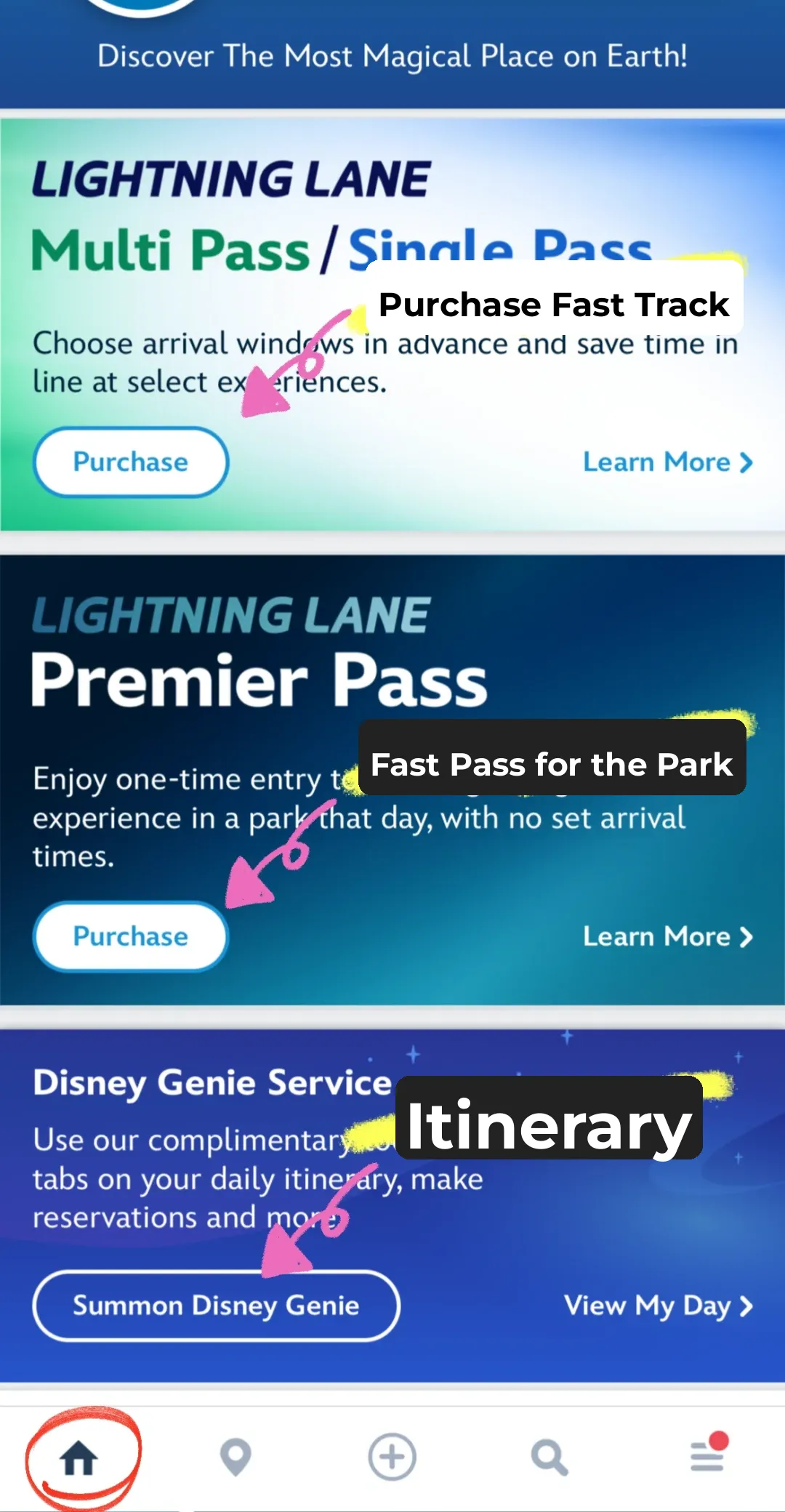 🎡 The Ultimate Guide to Revisiting Orlando Disney World 🎪
