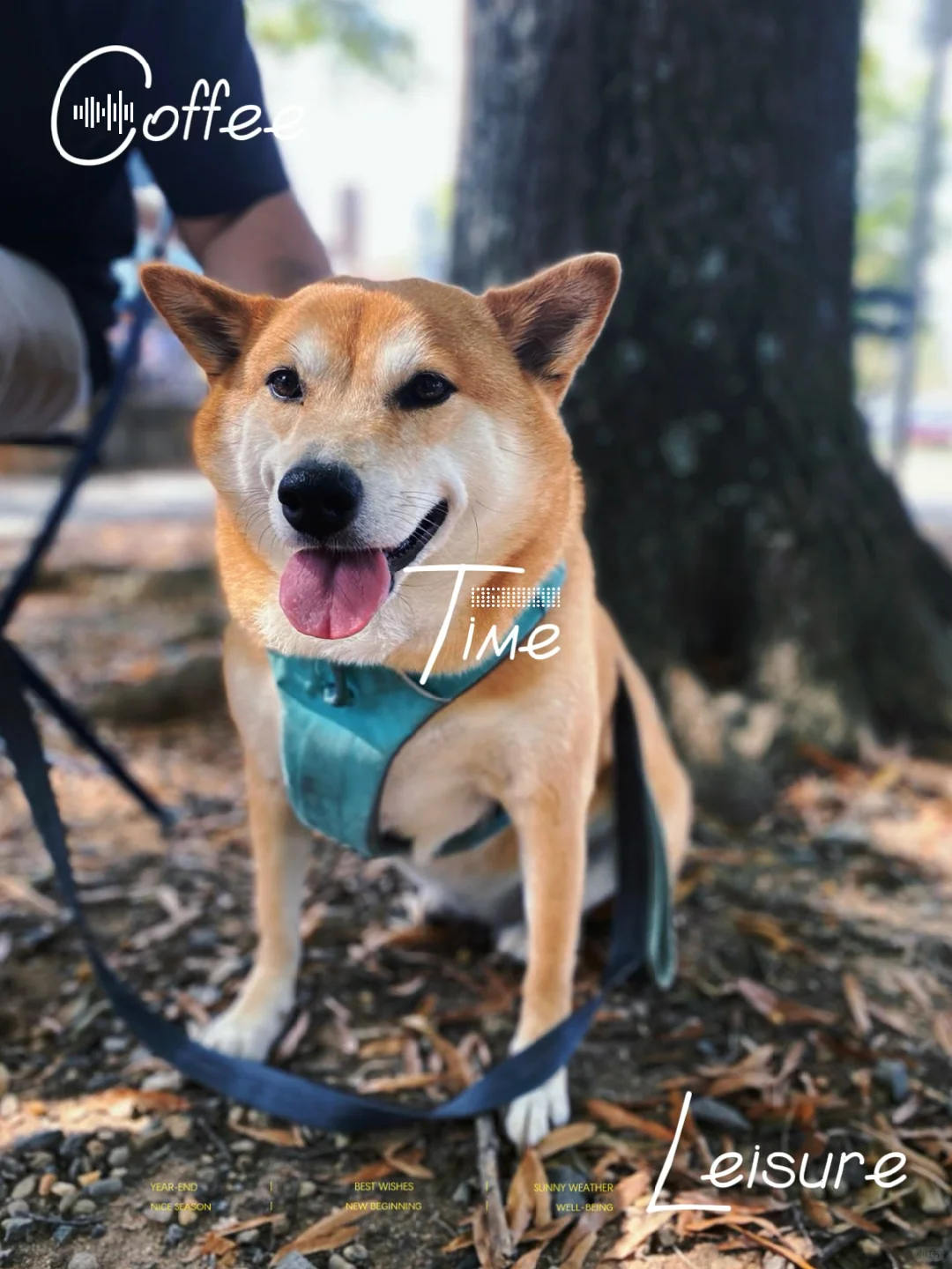 Coffee Shop Stop in Charlotte, North Carolina: Undercurrent