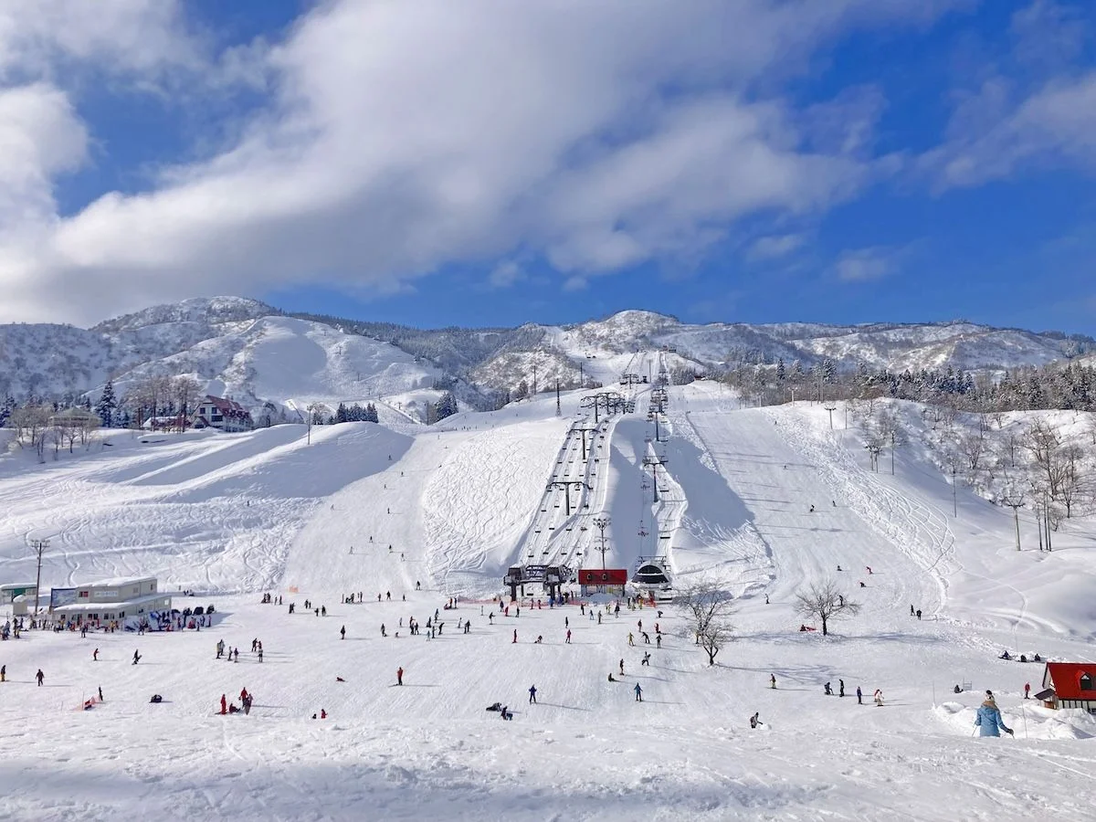 3 Days 2 Nights Ski Trip from Tokyo, Japan