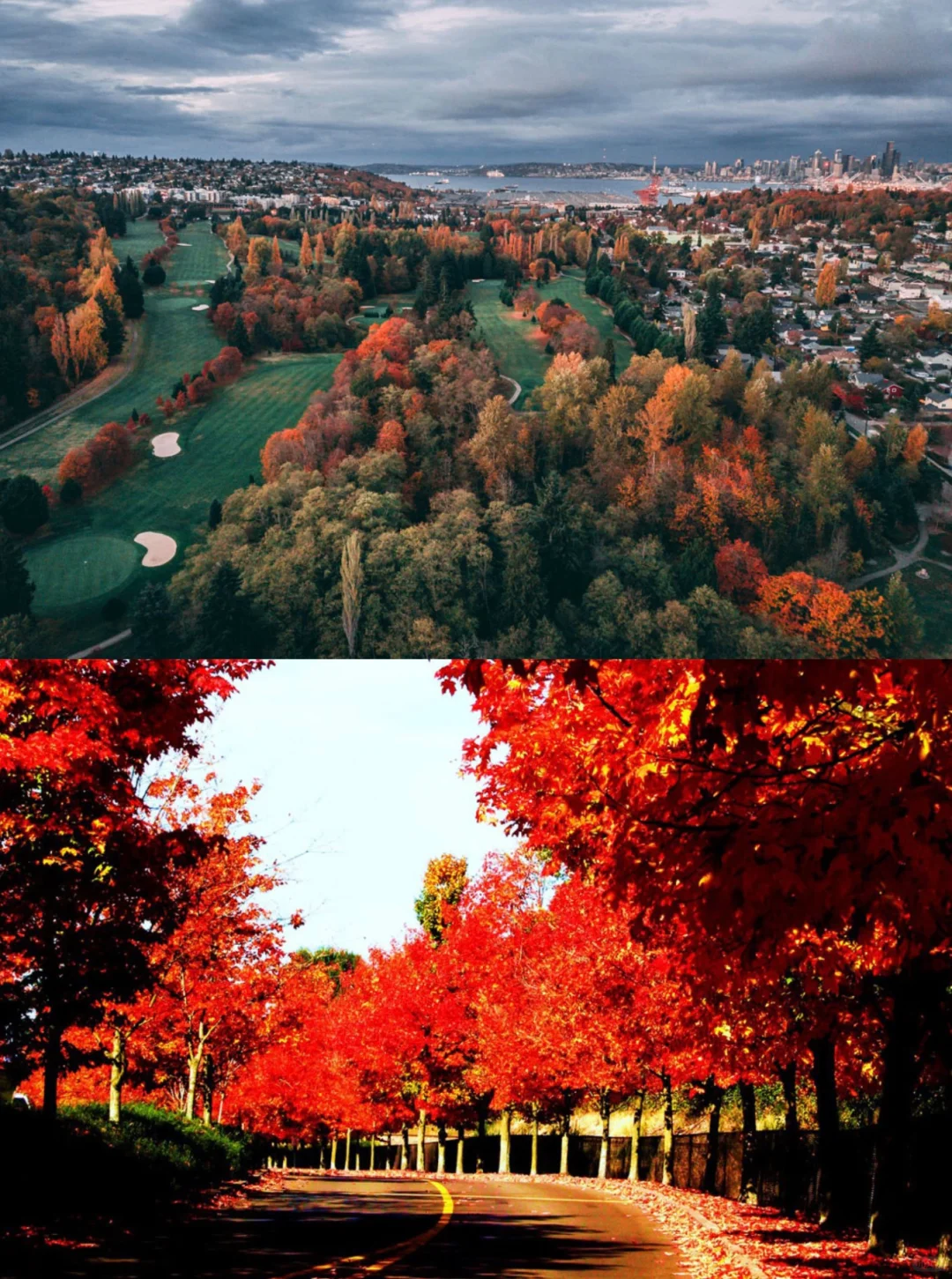 🍁 Seattle's Fall | Your Ultimate Guide