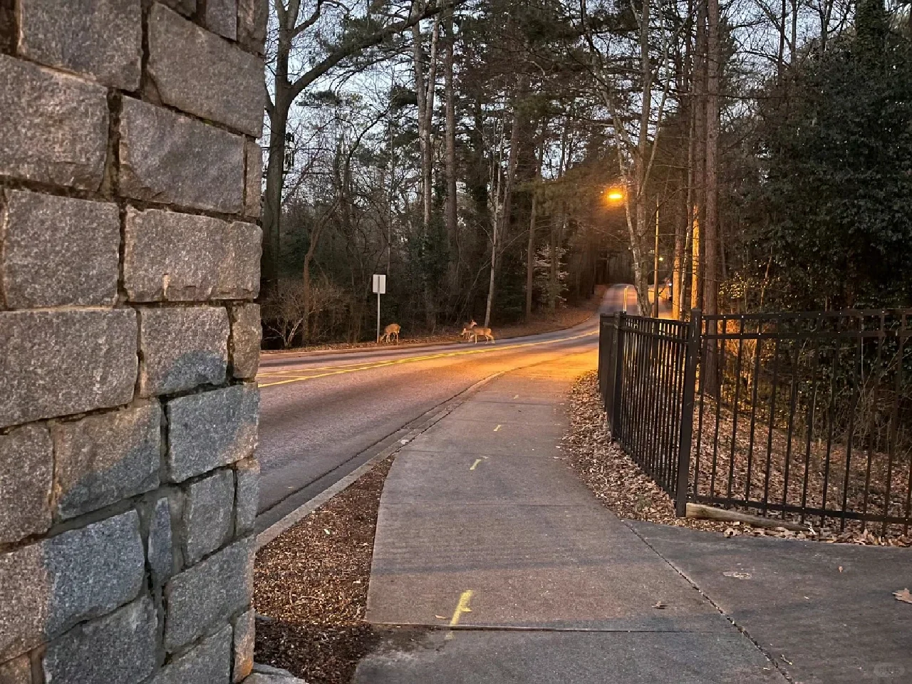 【Fun Places to Visit in Atlanta】—Museums