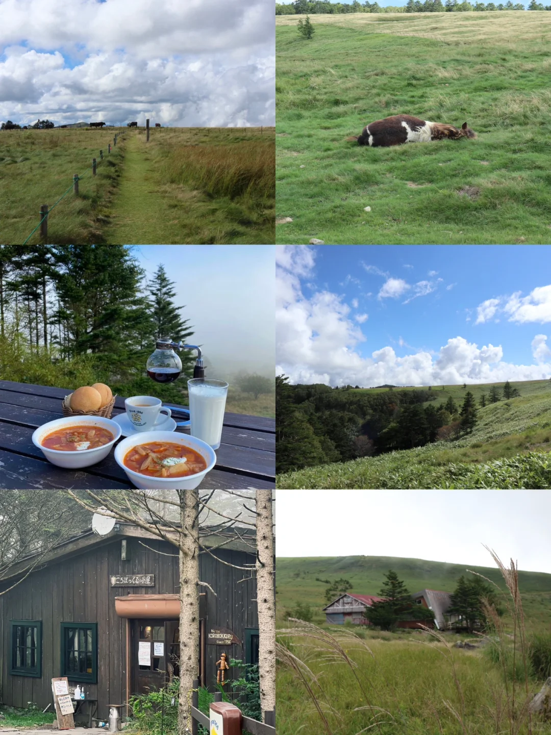 Day Trip Guide Around Tokyo | Mount Mitake, Kita-Alps, Matsumoto