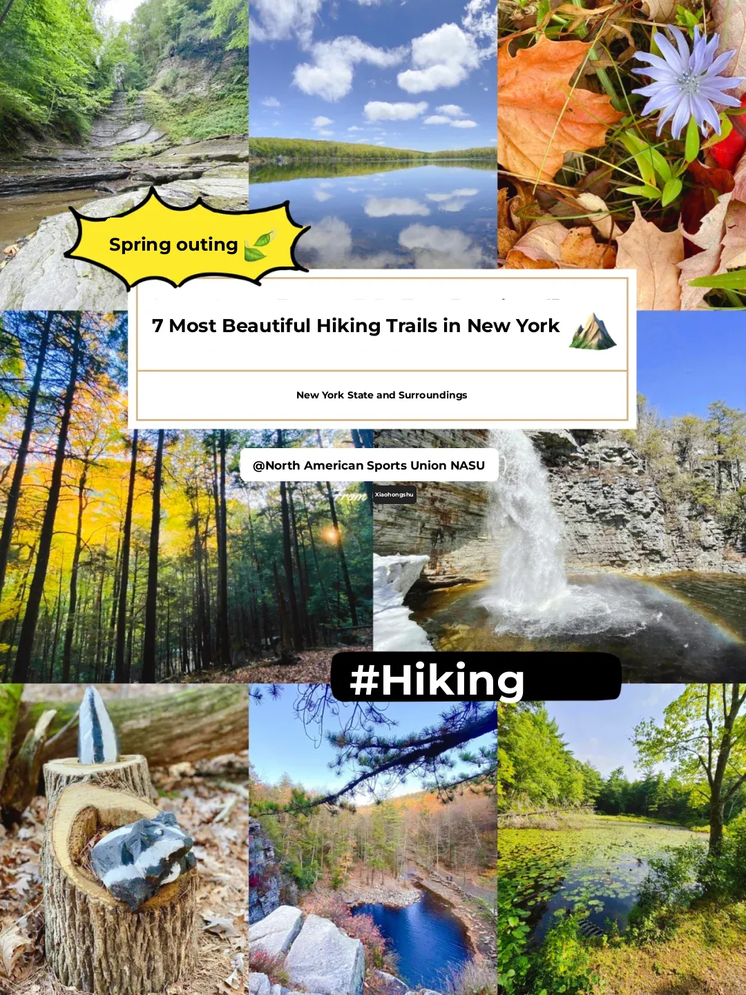 Escape NYC: Top 7 Hiking Trails You Need to Hit Up 🌲🥾