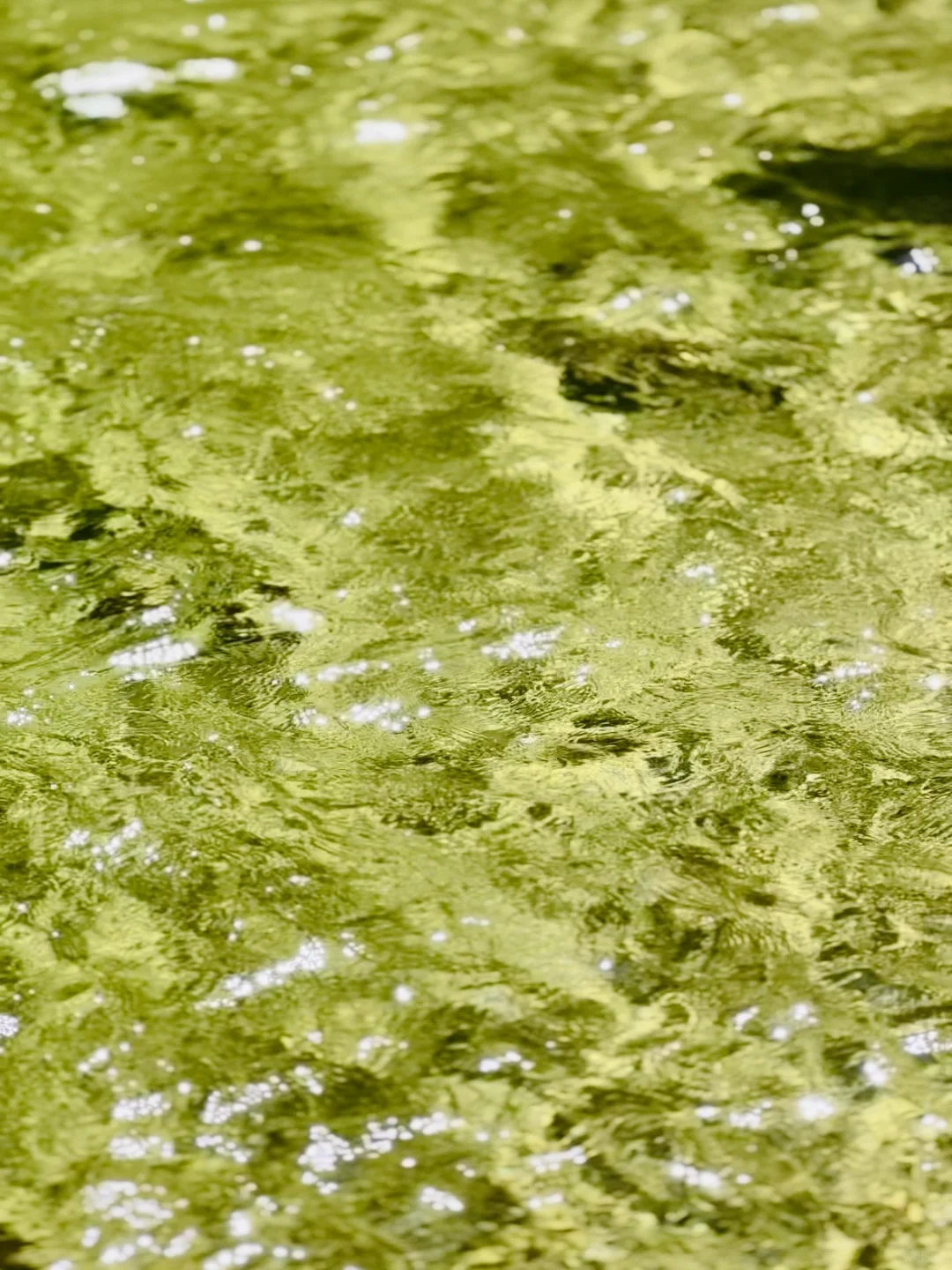 LA Summer Cool Hiking Trail