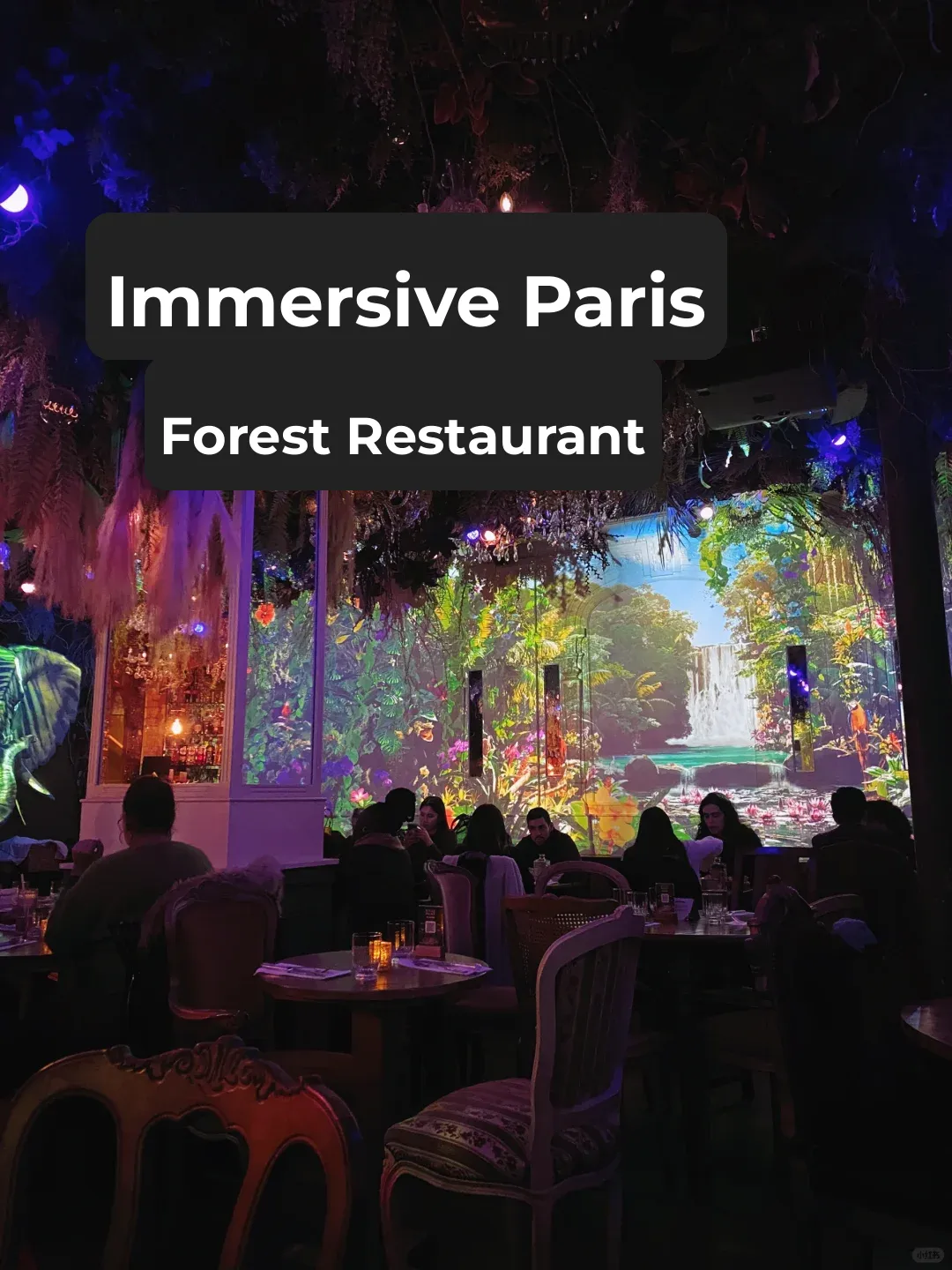 🇫🇷 Paris | The Ultimate Jungle Palace Dining Experience in the Heart of the Forest
