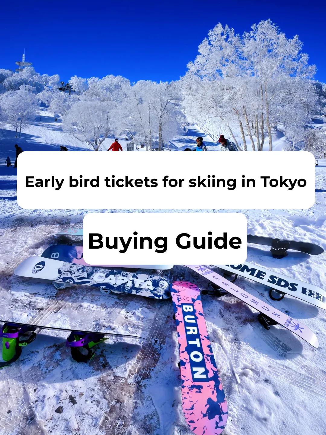 Japan Skiing | Budget Snow Pass = Early Bird Ticket Purchase Guide