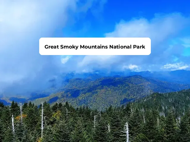 Capturing the Summit of the Great Smoky Mountains: A Guide to Booking Private Tours