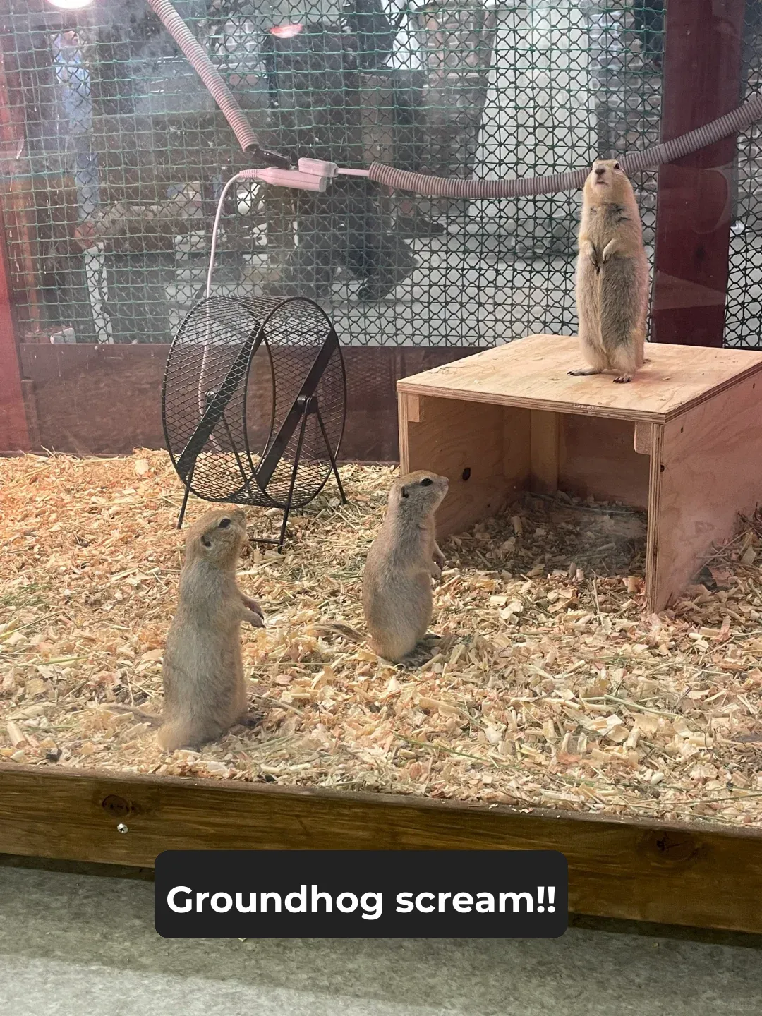 🇯🇵 Tokyo's Must-Visit Hidden Gem for Dates! Perfect for Everyone ✅