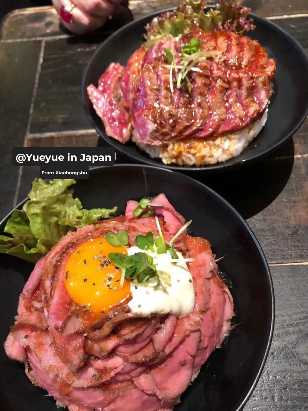 This Solo-Eater's Beef Tartare Bowl in Tokyo is Absolutely Delicious 😭