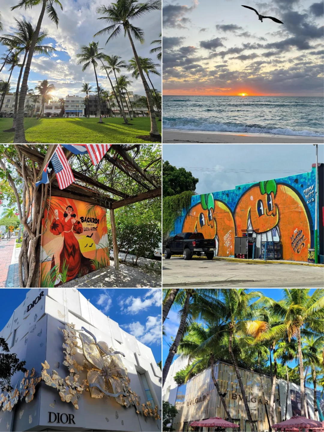 Must-Visit Attractions in Miami: How Many Have You Checked Off?