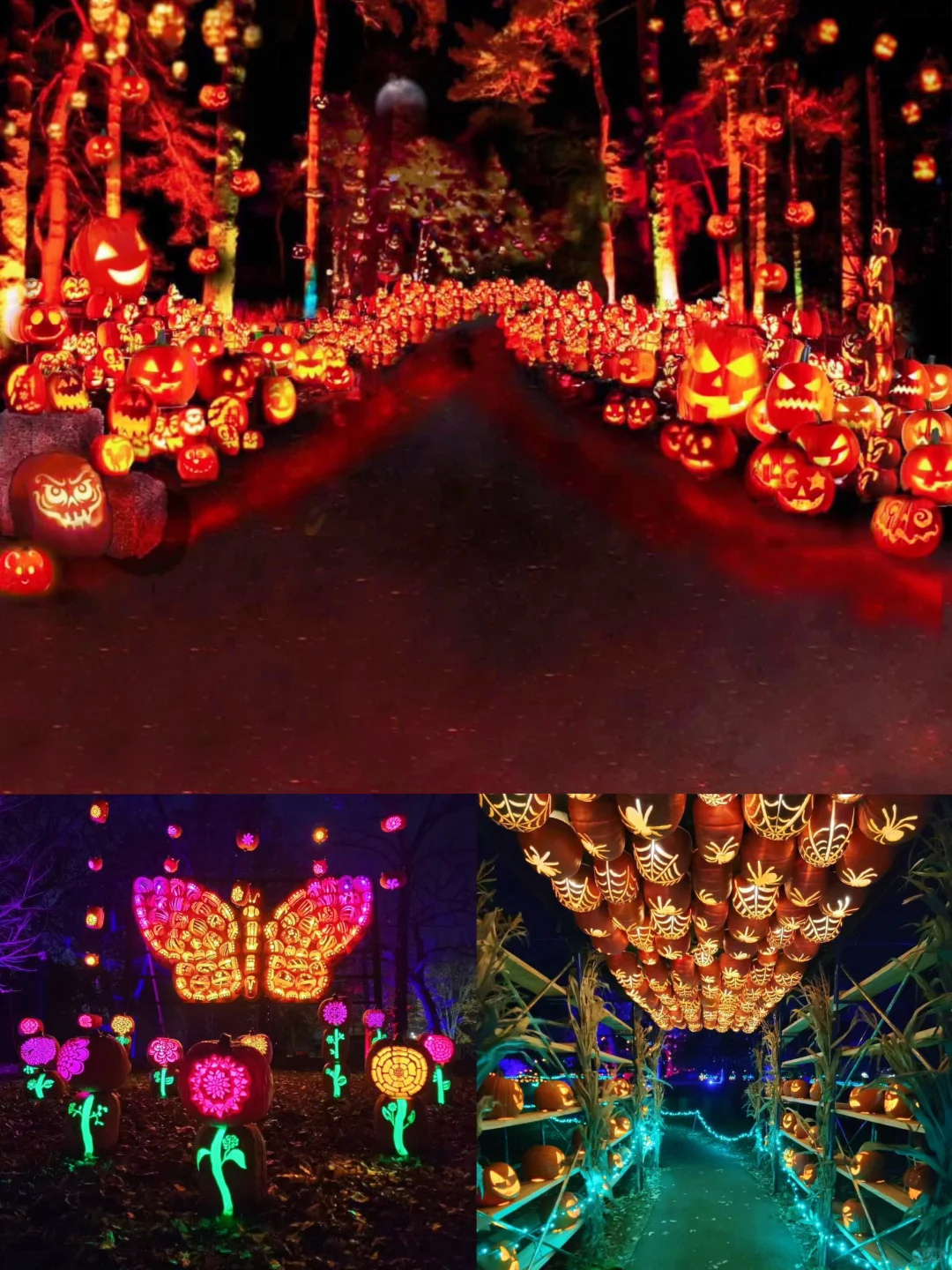 Where to Celebrate Halloween Around Madison & Chicago 🎃👻