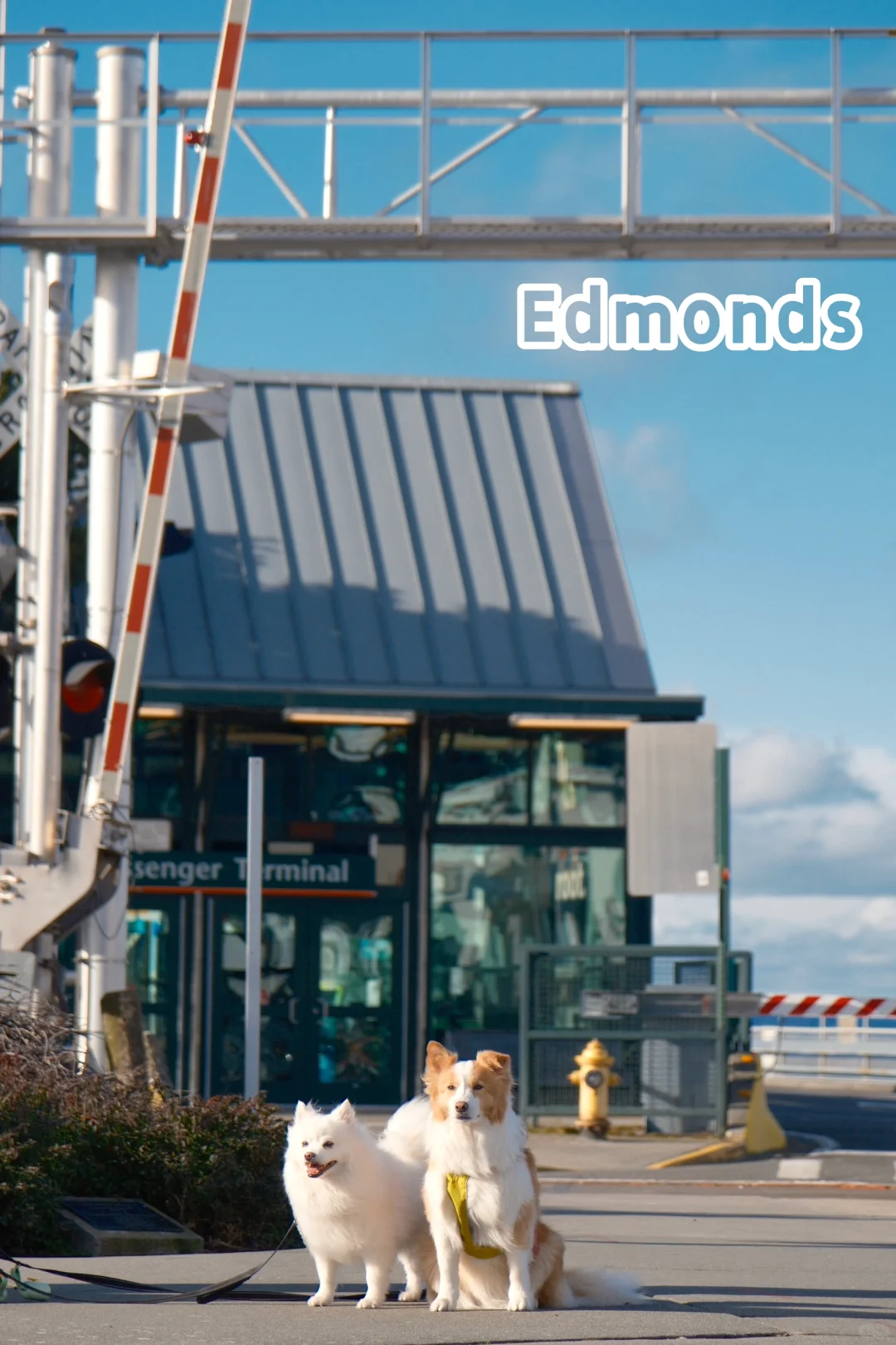 "Seattle Weekend | Edmonds in February is Perfect for Strolling and Capturing Stunning Photos 📷"